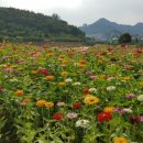 삼학도 중앙공원 이미지