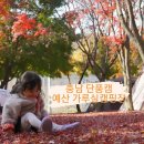 홍성무인빨래방 | 가루실캠핑장, 충남 단풍캠 2박 후기