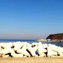 대궁회타운 이미지