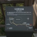 대정읍사무소 이미지