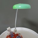 이이소