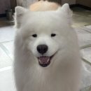 겨울이 머무는 집 이미지