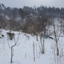 우산농장 이미지