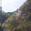 가평힐링하우스 이미지