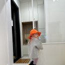 사라보래 이미지