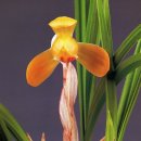 (주)금화 이미지