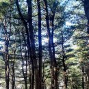 양천향교 이미지