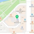 고양이의 산책:묘책 이미지