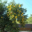 상죽마을회관 이미지