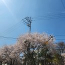이디야안양대점