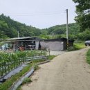 양평산수유부동산중개사무소 | [매매] 양평 산수유 마을 내 알짜 토지 434평 - 남향 전망이 아름다운 전원주택/주말농장 부지