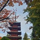 아름사과공원 이미지