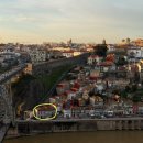 세지5일시장 | [포르투] 4,5일차/ 5성급 호텔/최악의 한끼 후...트램/젤라또/푸드코트 발견/CIGALA BANZAI NOODLE 후기