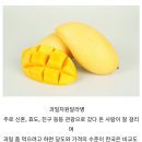 뜨개조앙 | [2025일상#22] 연말 즐겨