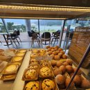 마소마레 이미지