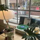 인천성리초등학교 | 구월동 카페, 느좋카페, "혜리별관"내돈내산 후기,크리스마스데이트 인천대형카페, 메뉴, 가격, 분위기까지