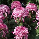 어진마을한화꿈에그린아파트 이미지