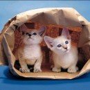 평생교육론 이미지