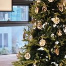 티스아트치과의원 이미지