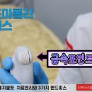 핸드피스