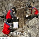 광양백운산서울대학술림고로쇠
