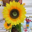 안경매니져&렌즈타운(김해장유점) 이미지