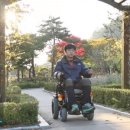 광주전동휠체어 이미지