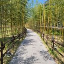 와룡지구 | 뉴발 러닝화 프레쉬폼 모어 착용 후기(ft. 와룡지구)