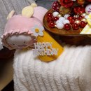 바르다펫 | 강아지 생일파티 세트 준비 💛 바르다펫 9종 패키지 솔직 리뷰