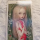 타로와의 치유 여행 이미지