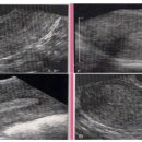 이화벨라여성의원 이미지