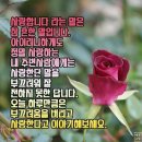 오늘도 멋진하루 되세요 / 카톡 인사글 이미지 나눔 이미지