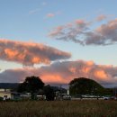 놋점 | 경주 일몰명소 놋점들 근처 한식 맛집 '놋전집' 내돈내산 후기