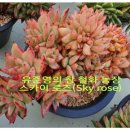 철화농장 이미지