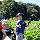 트리플농장 이미지