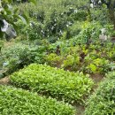 이화농장 이미지