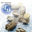 통영굴 판매합니다. 착한가격에 통통싱싱한 생굴 만나보세요~(판매완료) 이미지