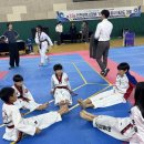 한솔체육관(태권도) 이미지