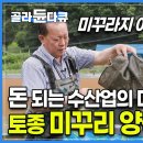 미꾸라지랑 비슷하지만 가격부터 맛까지 다른 '미꾸리'┃벼농사와 같은 면적이라도 소득이 다섯 배라는 보물 같은 토종 미꾸리 양식장┃고향민 이미지