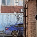 애견클럽 | 용산 맛집 용리단길 애견동반식당 버터라이스클럽 소개팅 장소 추천