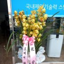 미르크린파워