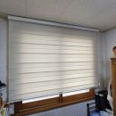 배영초등학교 이미지