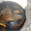 남악주식회사 이미지