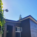 돌산읍사무소 | [여수 여행] 여수 봉황산 자연휴양림 동백나무 나동 후기