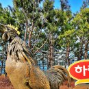 (주)하림 이미지