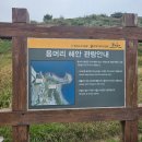 제주 사계리 용머리 화산쇄설층 이미지