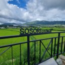 스테이 소소리 | 경주 여행 숙소 &lt;스테이소소리&gt; 다녀온 후기