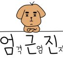 레블샵 이미지