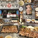 <경남 창원> “태영생막창” 내서 삼계리 맛집, 인생 생막창 후기