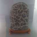 청송수석꽃돌박물관 이미지